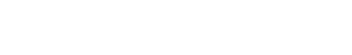 net pay advance logo