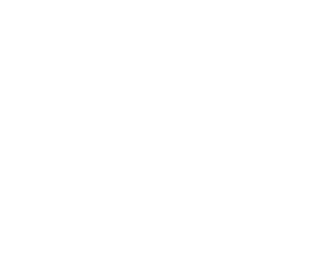 avoid scams icon