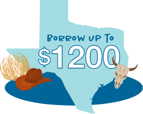 State of Texas with cowboy hat, tumbleweed, and longhorn next to it