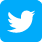 twitter logo thumbnal