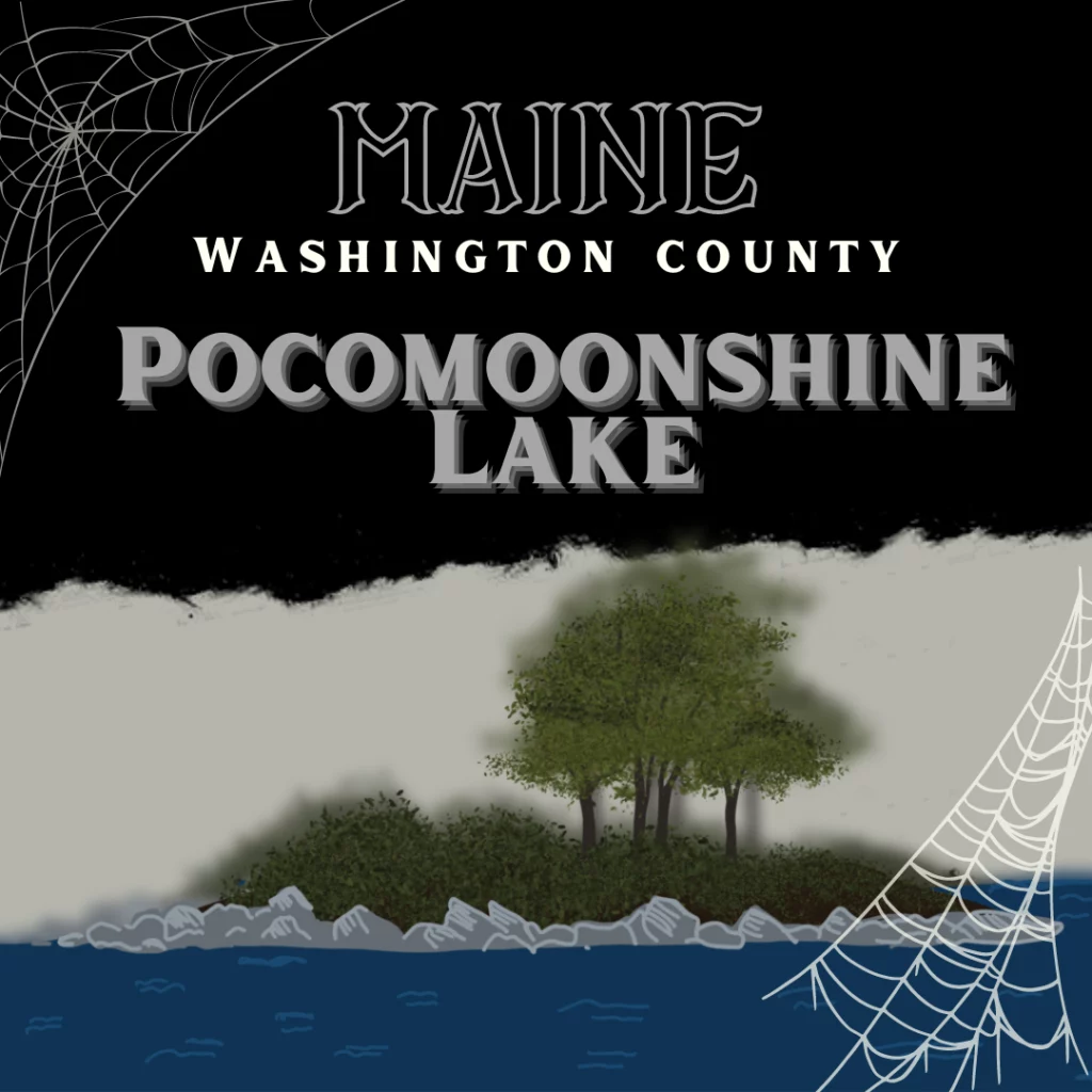 Trees and brush on an island. It’s a drawing of Pocomoonshine Lake, the most haunted place in Maine