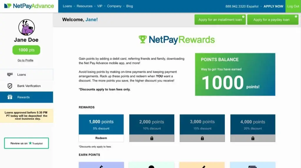 front end ui of the net pay advance loan application