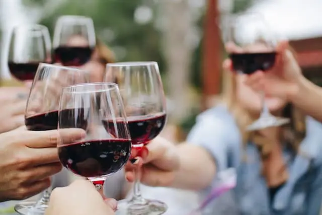 A group of people toasting with wine glasses