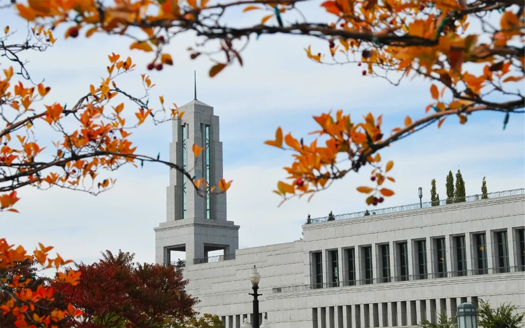 Through tree branches, you see the Salt Lake City Conference Center. It has a tall tower