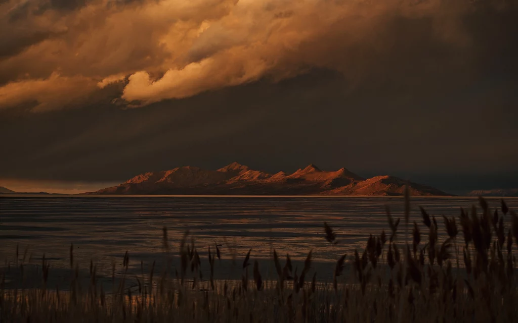 Great Salt Lake in Utah. Plants in the foreground, lake in the middle, and moutains in the background.