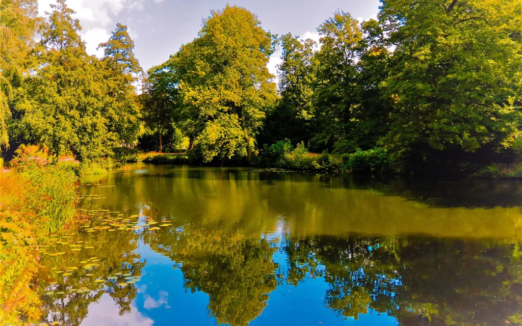 A beautiful park with a lake. The reflection of the park can be seen on the water of the lake.