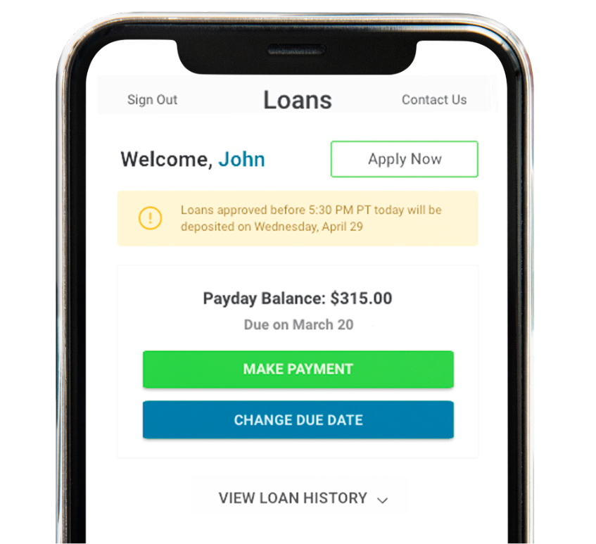 Screenshot of Net Pay Advance mobile app for payday loans on an iPhone screen