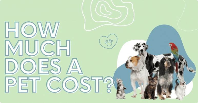 domestic animals standing together in large group with green background with text that says "how much does a pet cost?"