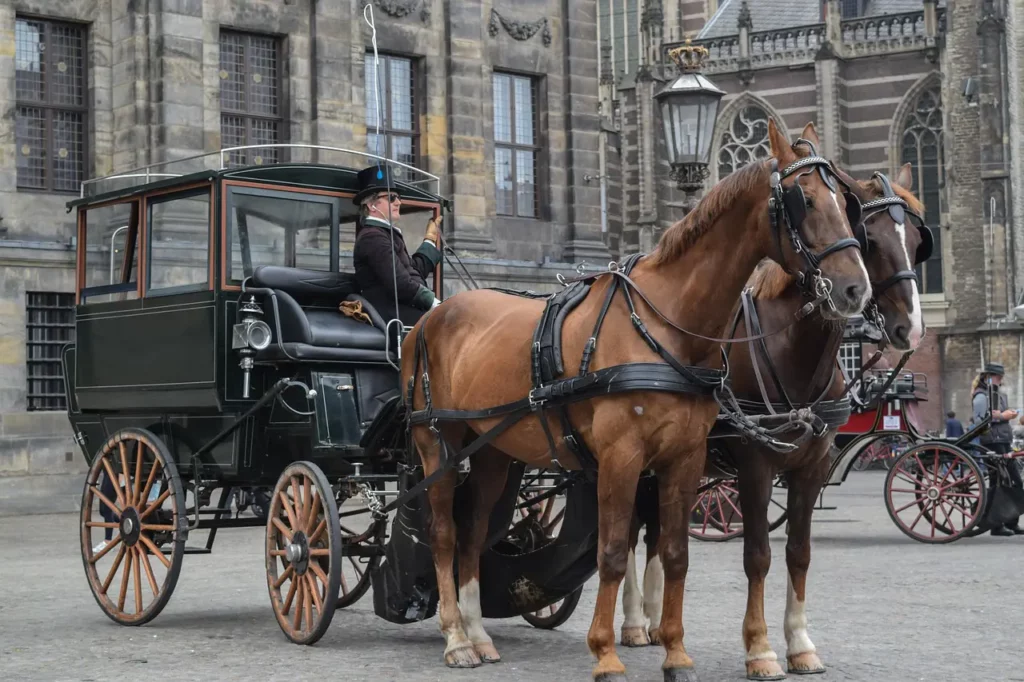 Image shows a carriage with two horses tethered to it