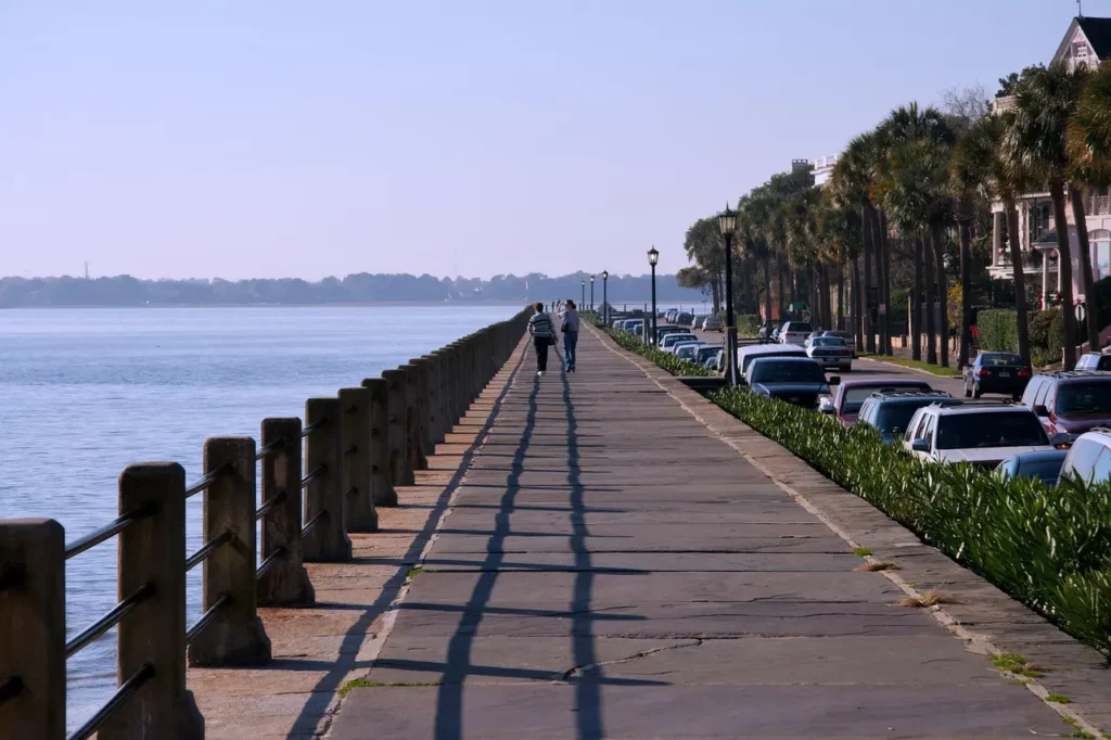 Image shows sidewalk with railings and a body of water against it. There are cars on the street next to the sidewalk, palm trees, buildings etc.